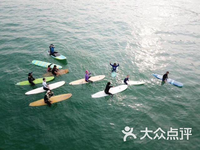 逃离仿真森林
